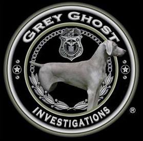 Grey Ghost - Private Investigator Miami